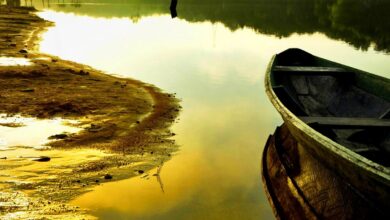 Photo of “Águas da Amazônia”: exposição reúne obras de artistas da região Norte