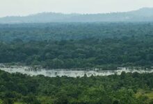 Photo of Superexploração de aquíferos ameaça mais da metade dos rios brasileiros