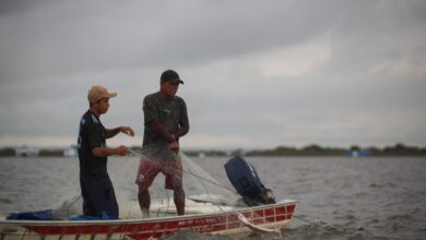 Photo of Defeso de oito espécies de peixes no AM encerra neste sábado; CONFIRA