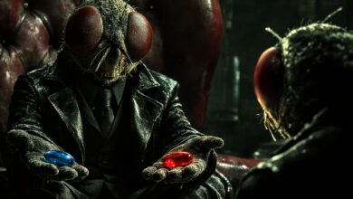 Photo of Cientistas conseguem fazer cérebro de mosca mandar em corpo virtual